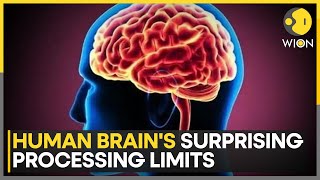 Scientists Measure The Exact Speed Of Human Thought | World News | WION