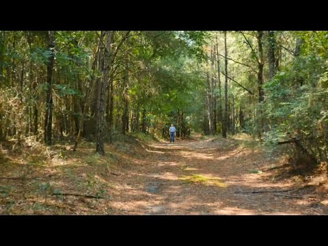 What is the width of 100 acres?