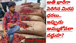 అతి భారీగా పెరిగిన #మిరప ధరలు.. ఉన్న #mirchi అమ్ముకోవల? వద్దు హా? ,#thrips #mites #bayer