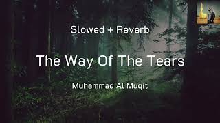 The Way Of The Tears By Muhammad Al Muqit (Slowed + Reverb Nasheed)