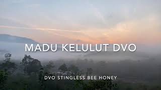 DVO Stingless Bee Honey