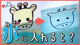 【就実やんちゃキッズ　GBA】おうちでじっけん　水で遊ぼう