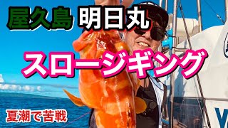 【屋久島】明日丸でスロージギング1日目