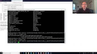 pico2019 handy shellcode