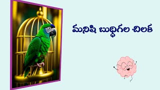 Manishi Buddhigala Chilaka || Tenali Ramakrishna Stories || Episode 9 ||  @anveshana94