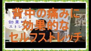 セルフストレッチ（背中の疲れ）