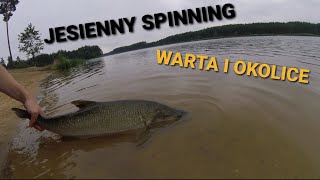 WARTA ORAZ OKOLICE | KLEŃ, BOLEŃ, SZCZUPAK CZYLI JESIENNY SPINNING