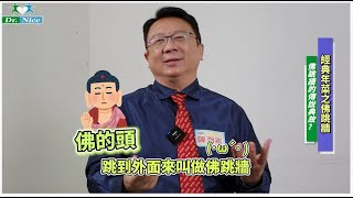 【藥食同源系列】經典年菜-佛跳牆的典故與健康功效(完整版)  #中醫師陳潮宗總院長