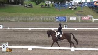 HorseJunkiesUnited.com - Allison Springer and Arthur Bromont CIC3 Dressage