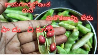 కాయగూరల్లో రుచికరమైన కాయగూర cultivation practices of చికుడు/Huge profits in broad Beens cultivation