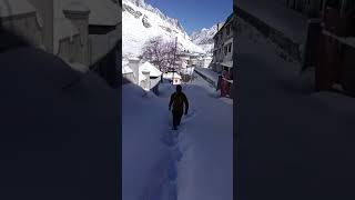 badrinath #short #ukdevdarshan #indiayoutubeshort #viral #himalaya #auli #badrinath #kedarnath