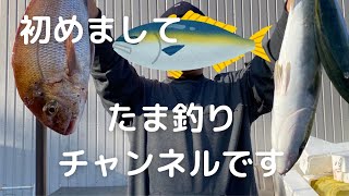 初めましてたま釣りチャンネルです