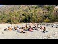 yoga at the beach ganges rishikesh vinyasa yoga school