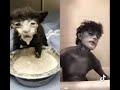 cat with milk on face cosplay