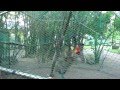 Philippines Expat: Bambulo Day Resort and Bonus Monkey Love Footage