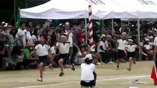 小学校運動会　６年　学年対抗リレーＡ