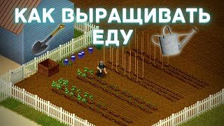 Project Zomboid - Всё про фермерство - Как выращивать еду - Гайд