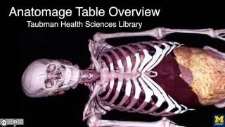 THL Anatomage Table Overview