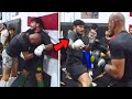 Alex Pereira vs Dillon Danis SPARRING (FULL CLIP)