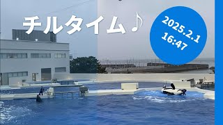 チルタイム♪ 2025.2.1 16:47