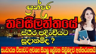 කට්ටිය මැරීගෙන යන්න හදන නවසීලන්තයේ විස්තර රැසක්  | Why New Zealand is the best country | Cham TV