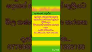 නිවසක්/කඩකාමර/කඩසාප්පු බදු දීමට/කුලියට දීමට