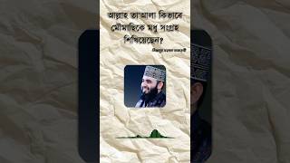 কিভাবে মৌমাছিকে মধু  সংগ্রহ করা শিখিয়েছেন  #islamicpreacher #waz  #মিজানুর_রহমান_আজহারী_ওয়াজ