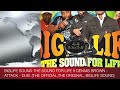 biglife sound the sound for life ft dennis brown attack dub