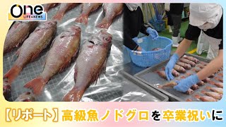 【祝い】高校生が卒業する小中学生のために高級魚「ノドグロ」を下処理　島根県浜田市