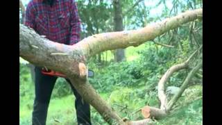 4 of 7: Limbing with your Jonsered Chain Saw