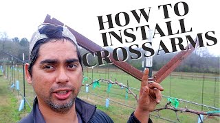 How to Install Trellis Cross Arms for a Vineyard