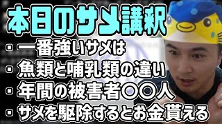 突然サメの講釈を垂れるサメおじさん【2021/04/30】