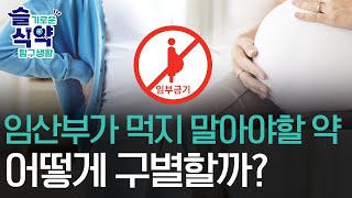 임신 초기 약 어떻게 먹어야 할까? [슬기로운 식약탐구생활]