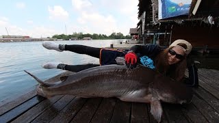 タイの釣り堀　Bungsamran Fishing Park（ブンサムラン・フィッシングパーク）でメコンオオナマズ釣ったぞー！！