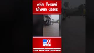 નર્મદા જિલ્લામાં ધોધમાર વરસાદ | TV9GujaratiNews