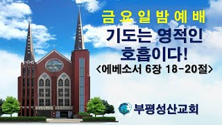 부평성산교회 (구본흥목사 시무)  2025. 2. 14 금요예배