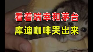 【半佛】看着瑞幸和茅台，库迪咖啡哭出来