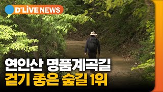 연인산 명품계곡길 걷기 좋은 숲길 1위 [가평] 딜라이브TV