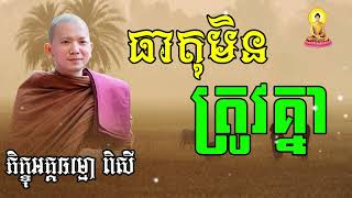 ធាតុមិនត្រូវគ្នា (សម្តែងដោយ ព្រះភិក្ខុអគ្គធម្មោ ពិសី)