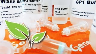 How To Extract DNA From Plants Video
