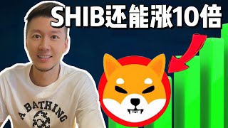 SHIB SHIBA INU 柴犬币还能涨多少？2025年价格预测#memecoin #btc #加密貨幣 #web3 #ai #solana #以太坊 #shiba  #shib