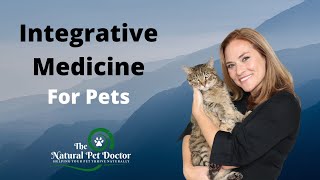 What is integrative veterinary medicine? (Holistic Pet Care)