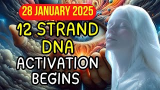 Pleiadian High Council: 12 DNA Upgrades Unveiled – Awakening Sealed Soul Memories!