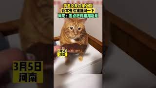 贤惠女友在家做饭，我拿去给猫猫闻一下。网友：差点把....