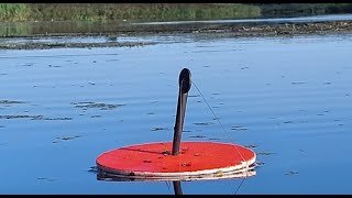 СТАРЫЙ ПРОВЕРЕННЫЙ СПОСОБ РЫБАЛКА НА КРУЖКИ. ОСТАВИЛ ЖИВЦОВ НА НОЧЬ.