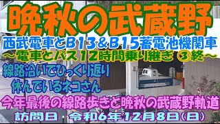 晩秋の武蔵野　西武電車とＢ１３＆Ｂ１５蓄電池機関車　～電車とバス１２時間乗り継ぎ ③終～　線路沿いでひっくり返り休んでいるネコさん　今年最後の線路歩きと晩秋の武蔵野軌道