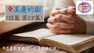 溪邊的樹～詩篇第58篇