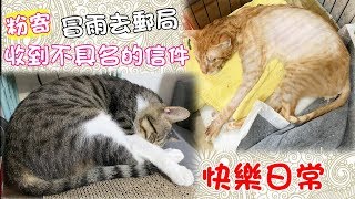 【直播】收到5000元！捐出? 颱風要來了～放假前大雨之中去領包裹！阿金狀態很不錯！ (20190903)