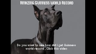 Amazing Guinness world record ,of Zeus (World's largest dog)