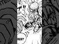 shanks absoluetly destroyed bartolomeo